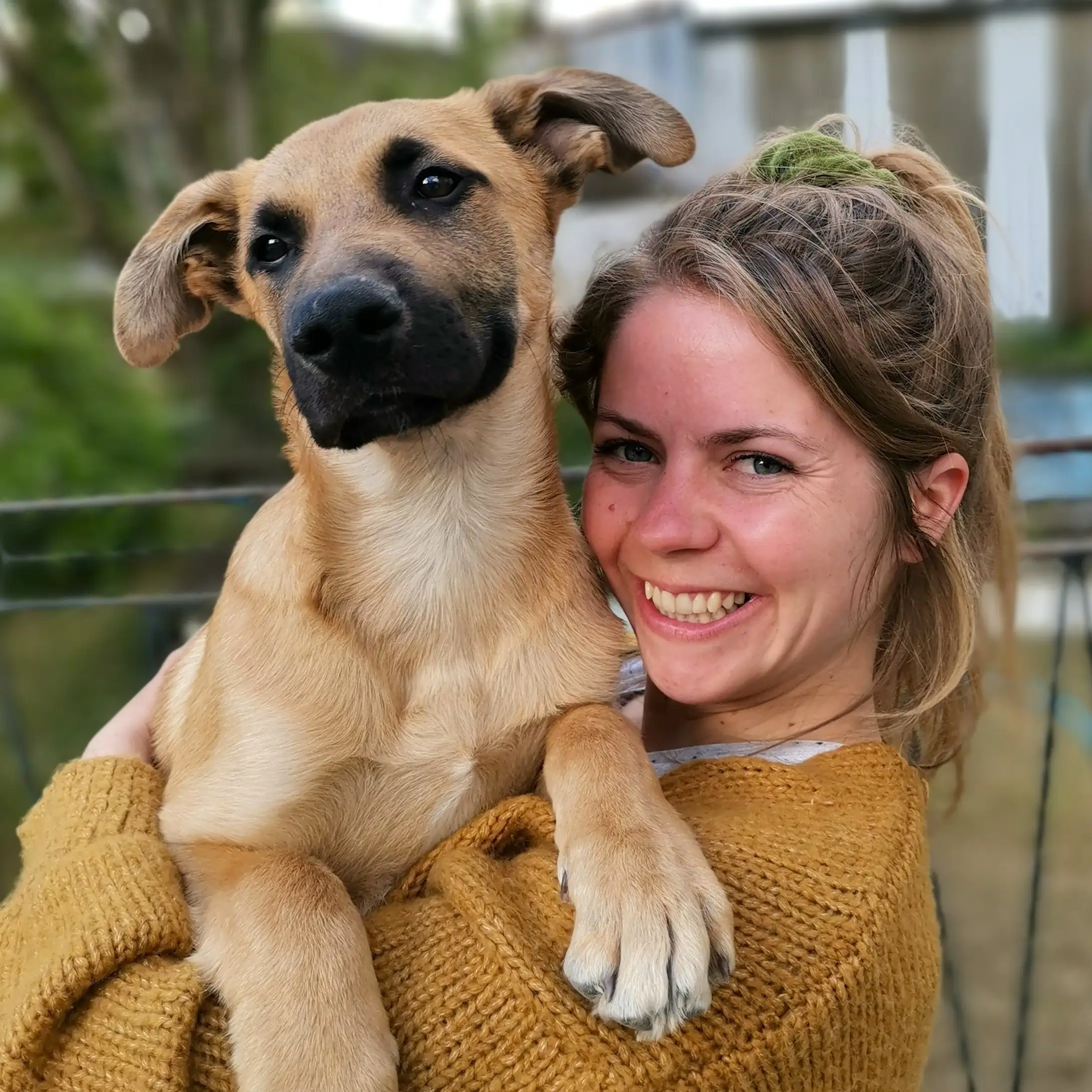 un chiot dans les bras de sa maman
